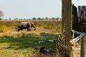 112 Okavango Delta, duba plains camp